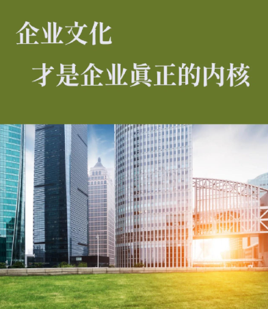创思环球商务服务在跨境企业架构咨询中的应用实践
